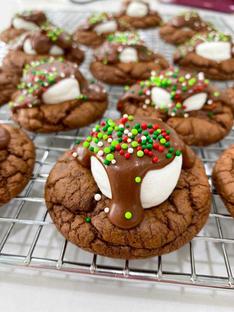 hot cocoa cookies