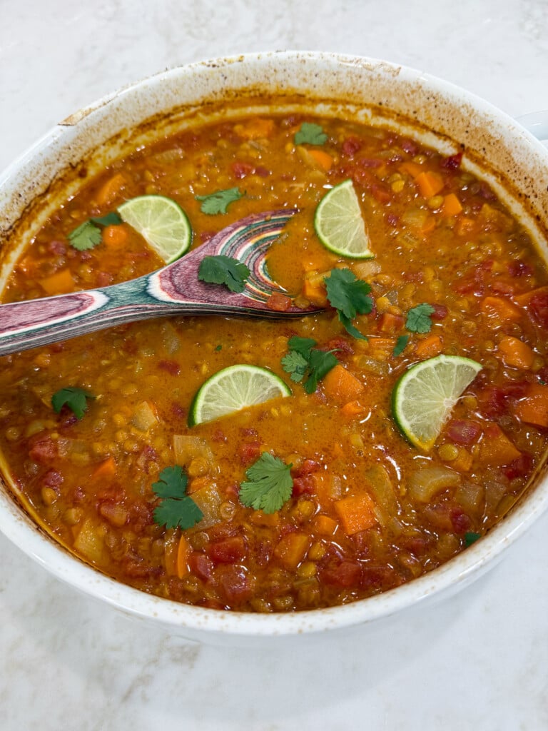 indian curry with lentils