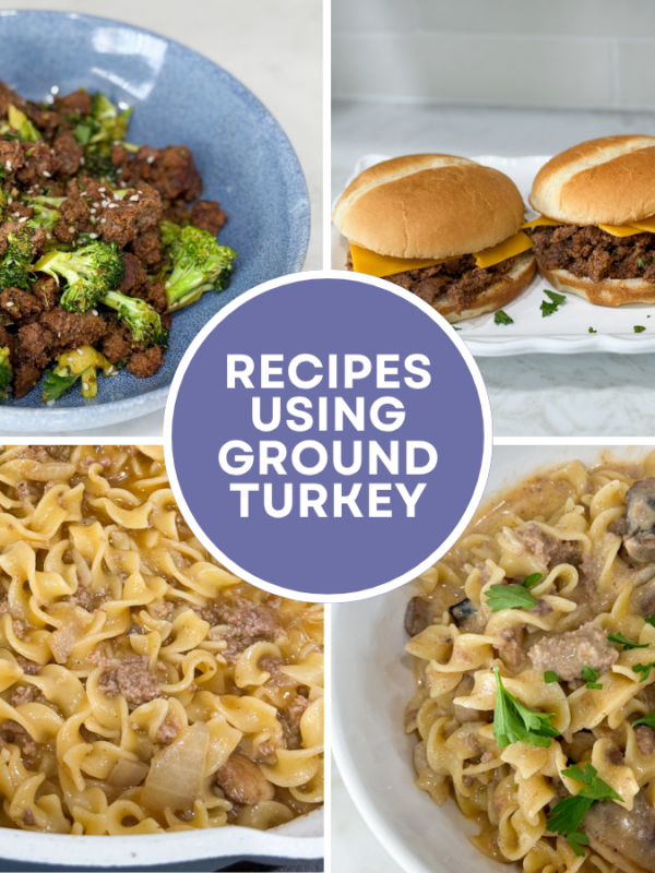 round up of easy recipes using ground turkey