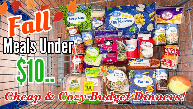 5 Cheap but Delicious Fall Dinners Under $10 - Julia Pacheco