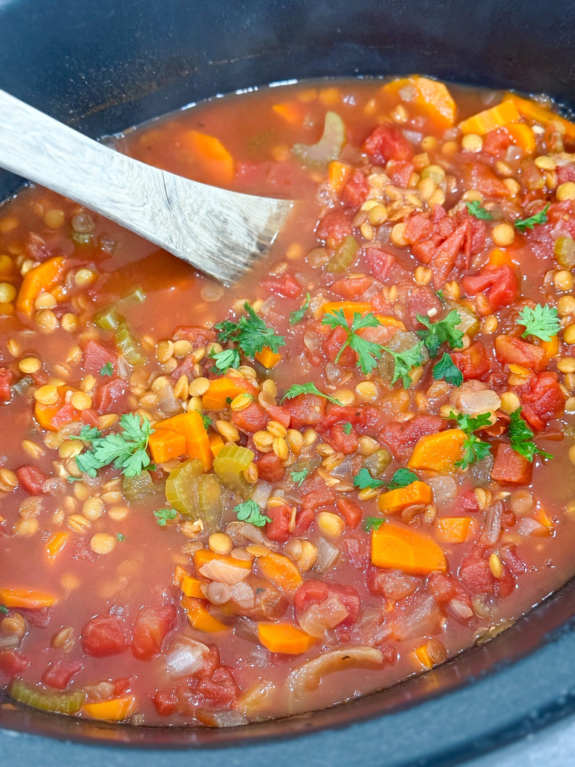 Slow cooker filled with cooked lentil soup