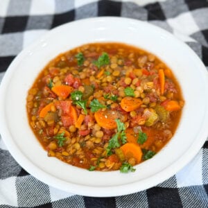 Bowl of Slow Cooker Lentil Soup Stew with carrots, celery, and lentils