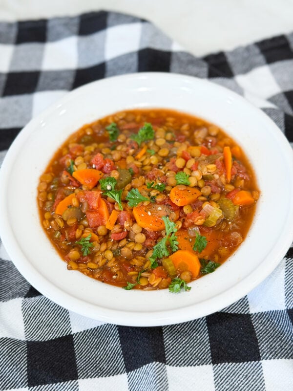 Bowl of Slow Cooker Lentil Soup Stew with carrots, celery, and lentils