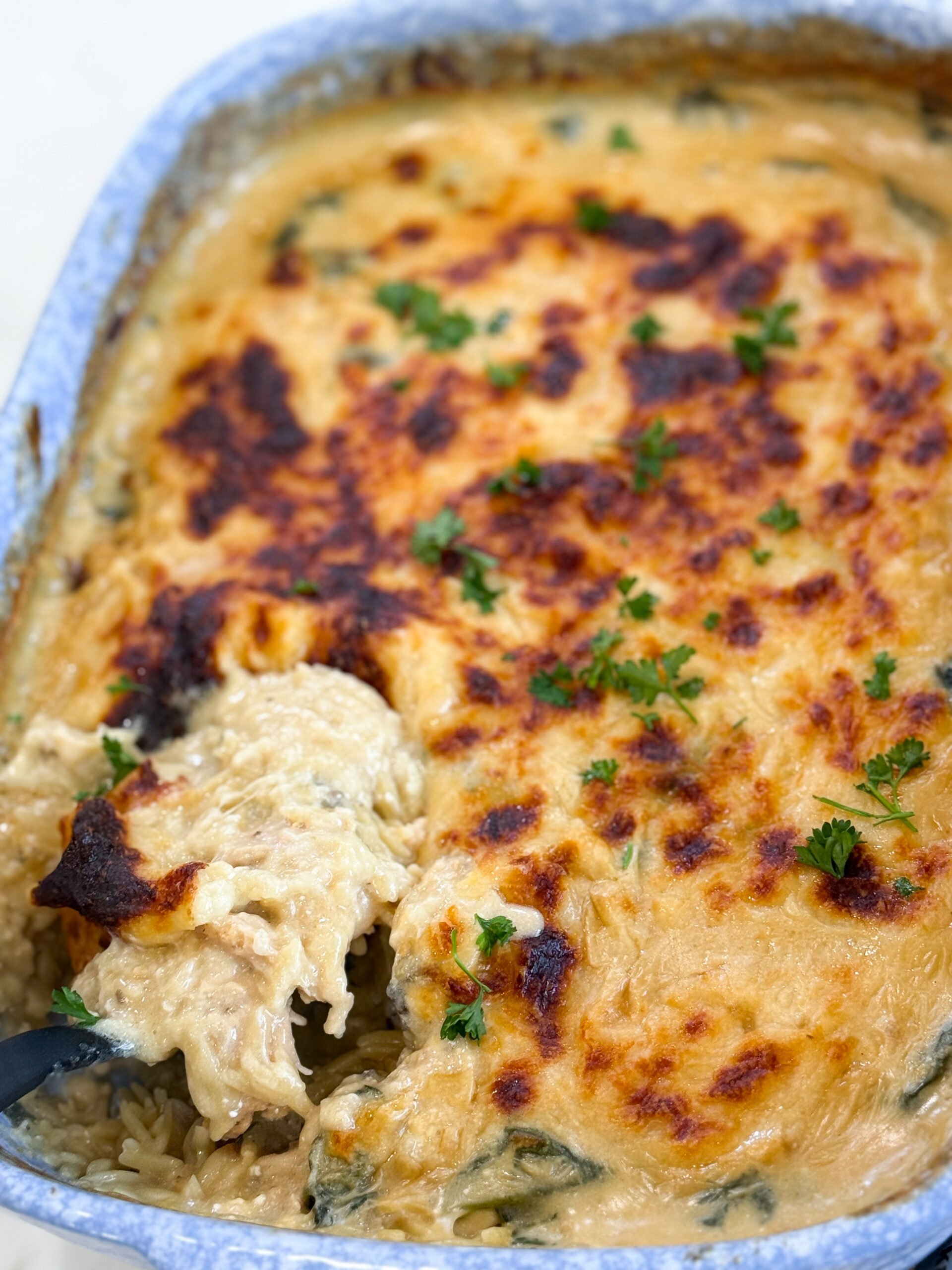 Spinach Chicken Orzo Casserole baked in a 9x13 dish with golden melted cheese on top.