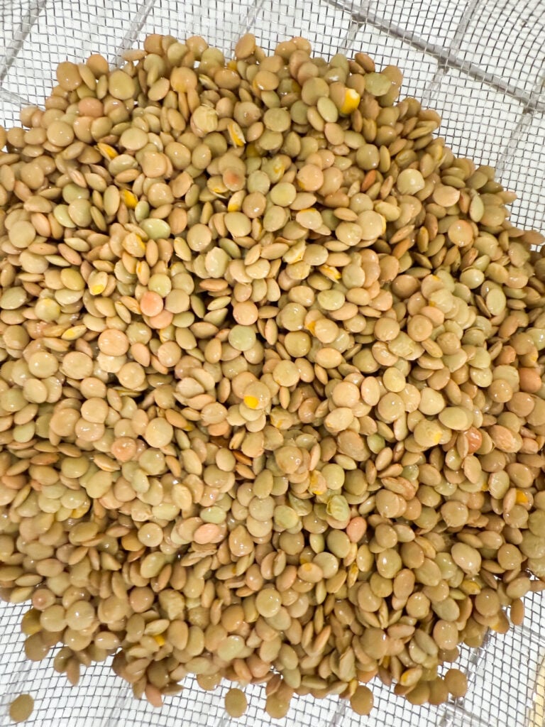 washed lentils in a colander