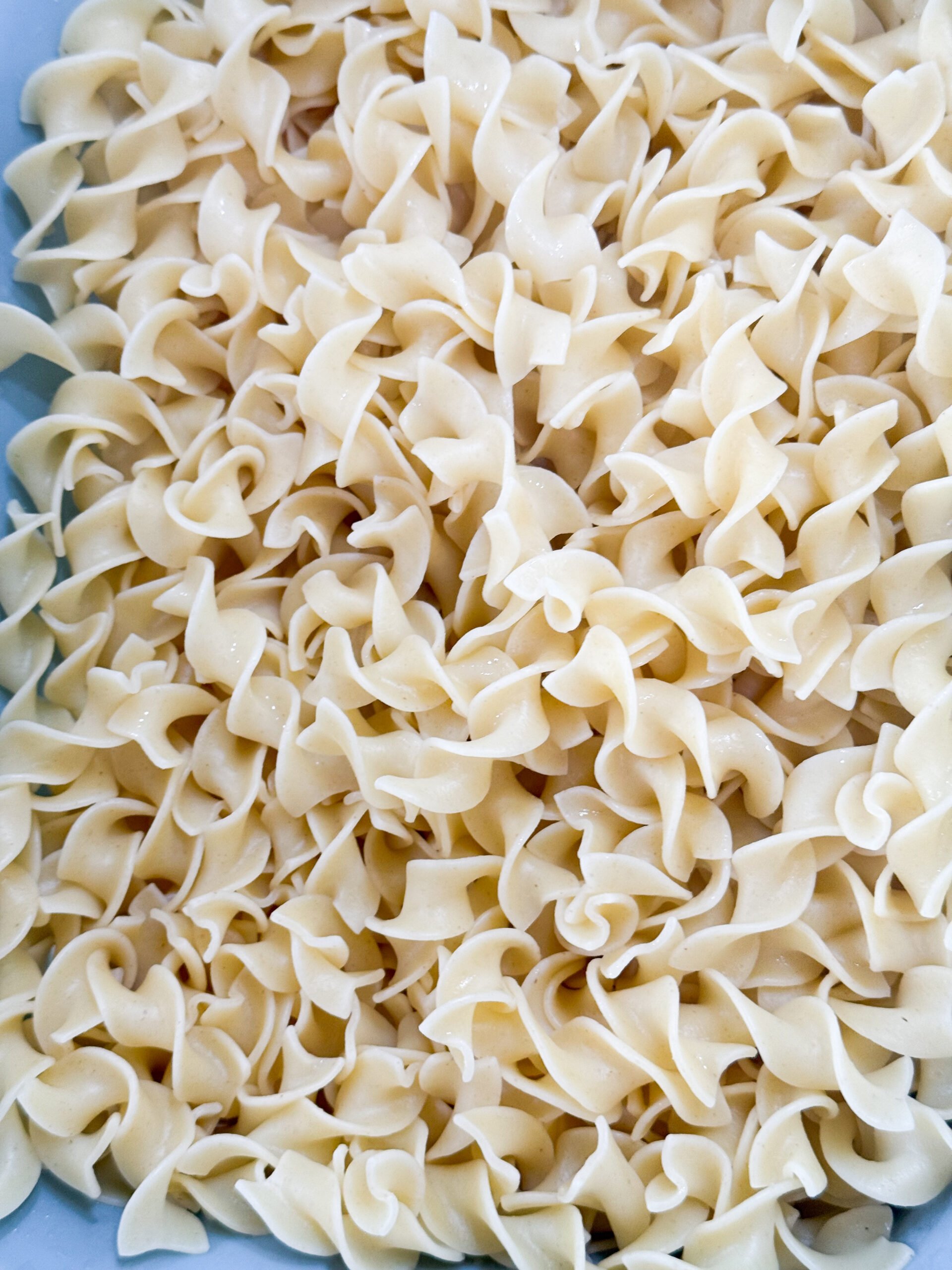 Noodles in a bowl for for beef stroganoff